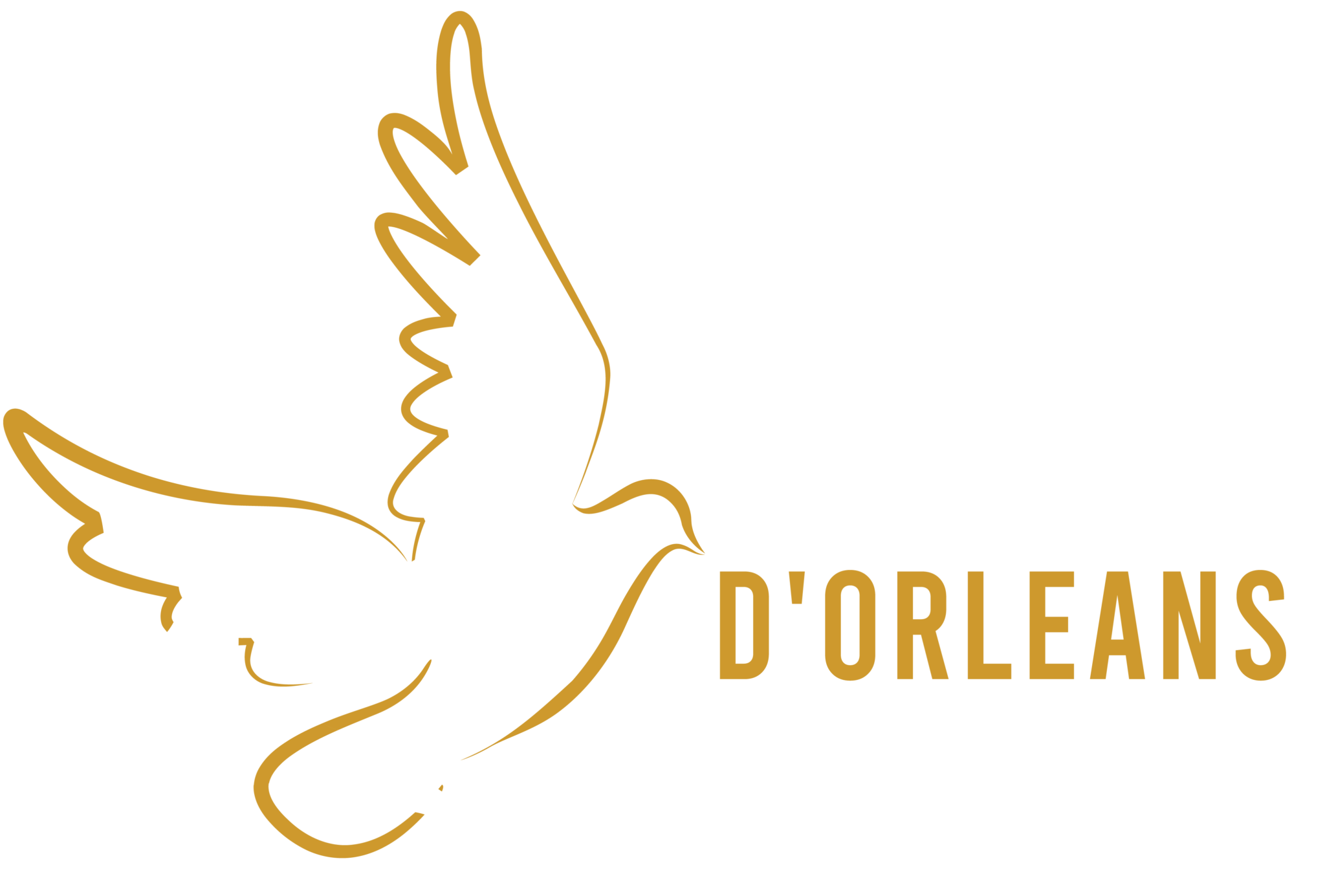 Logo Diocèse d'Orléans