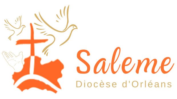 Saleme logo
